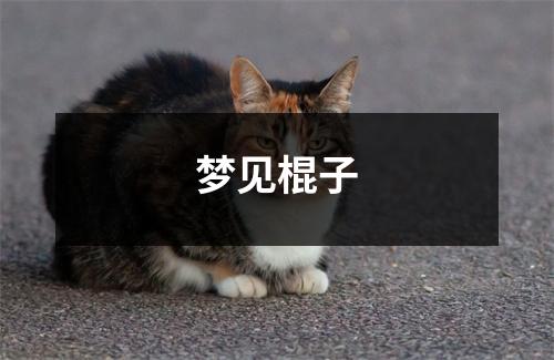 <h3>梦见棍子