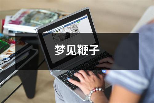 梦见鞭子