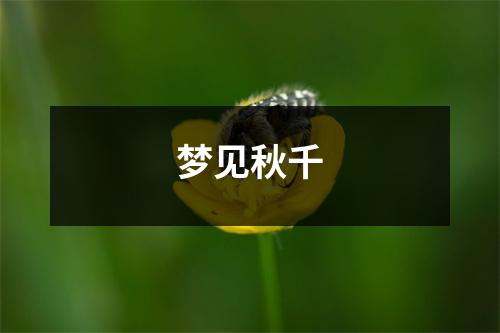 <h3>梦见秋千