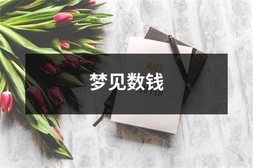 <h3>梦见数钱