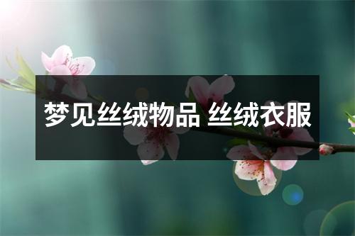 梦见丝绒物品丝绒衣服