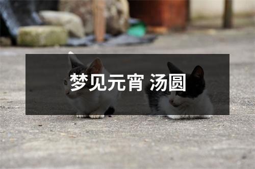 <h3>梦见元宵汤圆