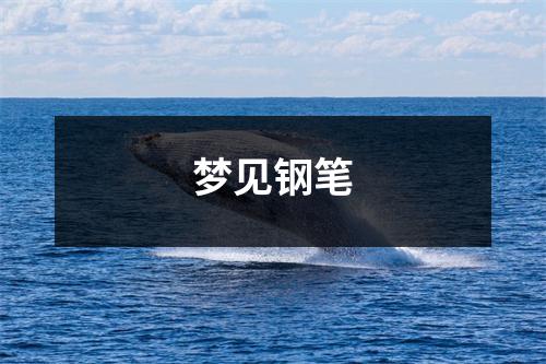 <h3>梦见钢笔