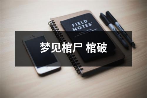 <h3>梦见棺尸棺破