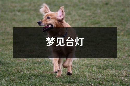 梦见台灯