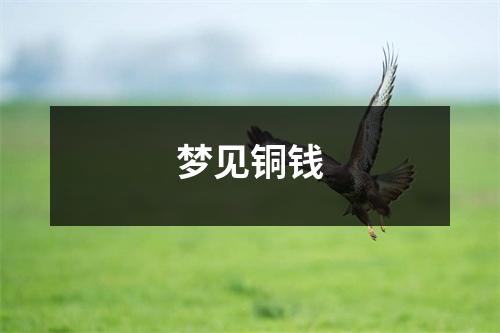 <h3>梦见铜钱