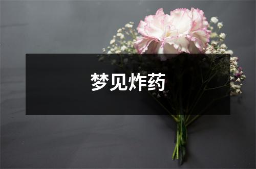 <h3>梦见炸药