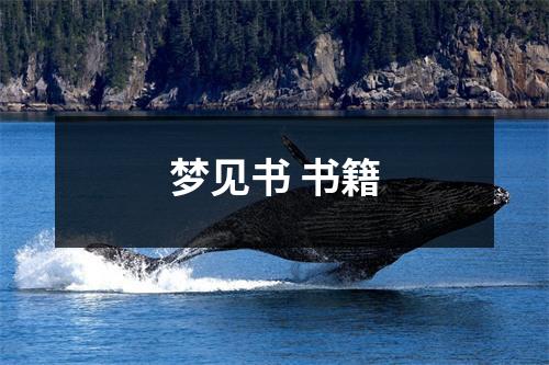 <h3>梦见书书籍