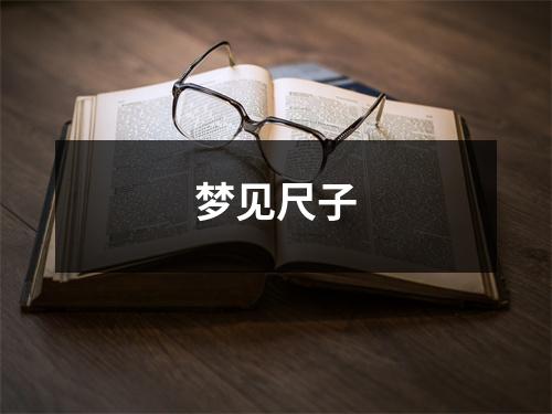 <h3>梦见尺子