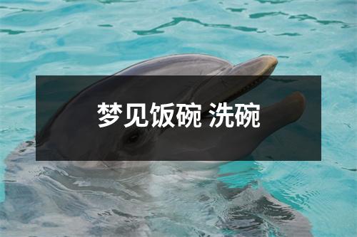 <h3>梦见饭碗洗碗