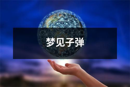 <h3>梦见子弹