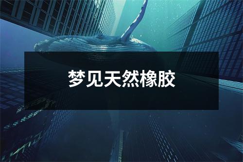 <h3>梦见天然橡胶