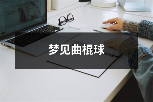 <h3>梦见曲棍球