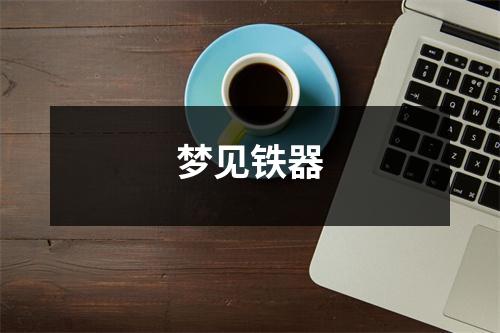 <h3>梦见铁器