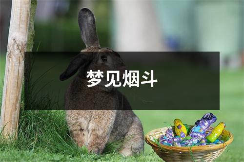 <h3>梦见烟斗