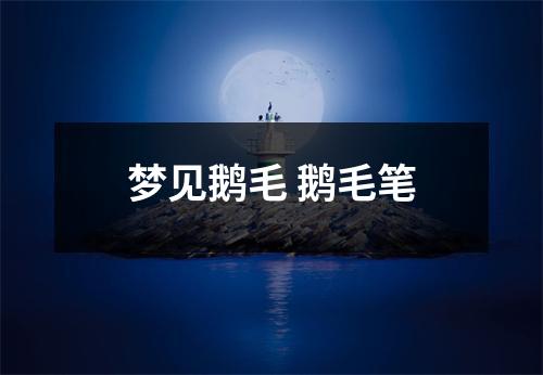<h3>梦见鹅毛鹅毛笔