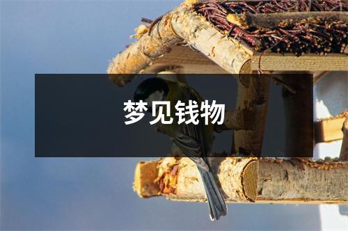 梦见钱物