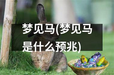 <h3>梦见马(梦见马是什么预兆)