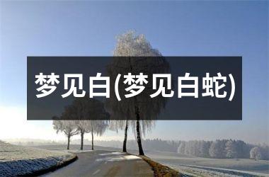 梦见白(梦见白蛇)
