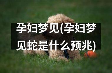 孕妇梦见(孕妇梦见蛇是什么预兆)