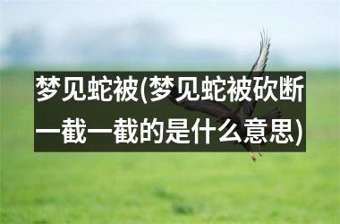 <h3>梦见蛇被(梦见蛇被砍断一截一截的是什么意思)