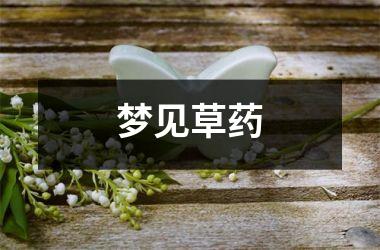 <h3>梦见草药