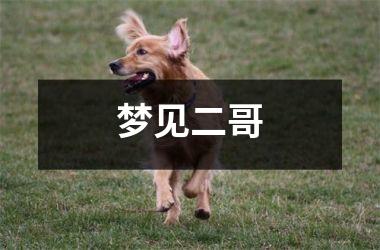 <h3>梦见二哥