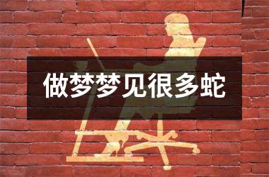 <h3>做梦梦见很多蛇