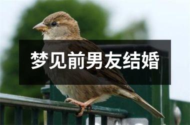 <h3>梦见前男友结婚