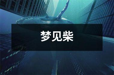 <h3>梦见柴