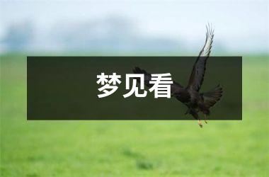 梦见看