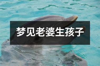 <h3>梦见老婆生孩子
