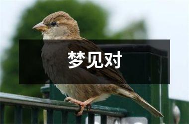 梦见对