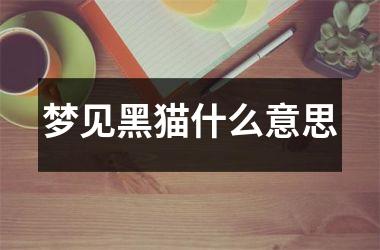 <h3>梦见黑猫什么意思