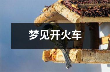 <h3>梦见开火车