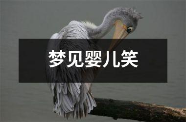 <h3>梦见婴儿笑