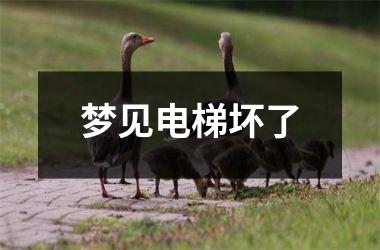 <h3>梦见电梯坏了