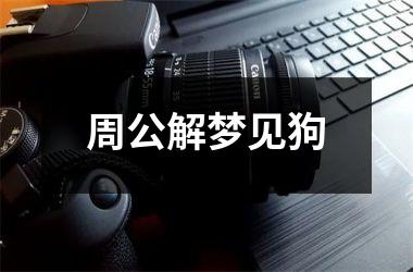 <h3>周公解梦见狗
