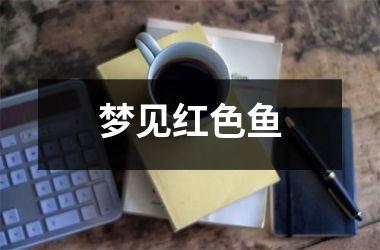 <h3>梦见红色鱼