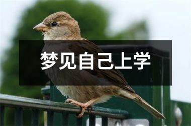 梦见自己上学