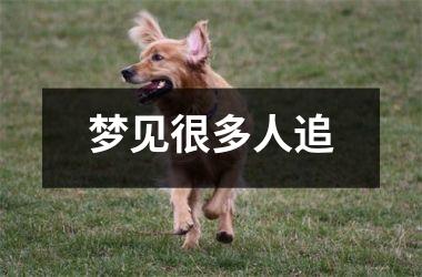 <h3>梦见很多人追