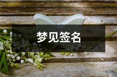 <h3>梦见签名
