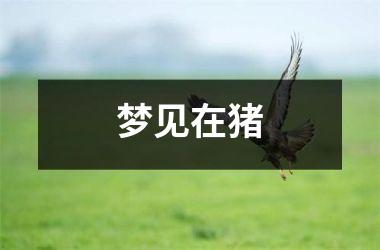 <h3>梦见在猪