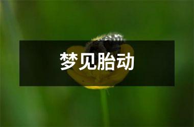 <h3>梦见胎动