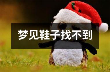 <h3>梦见鞋子找不到