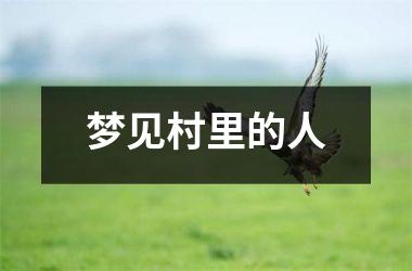 <h3>梦见村里的人