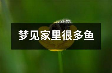<h3>梦见家里很多鱼