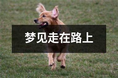<h3>梦见走在路上
