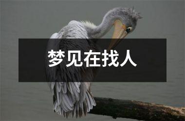 <h3>梦见在找人