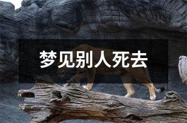 <h3>梦见别人死去